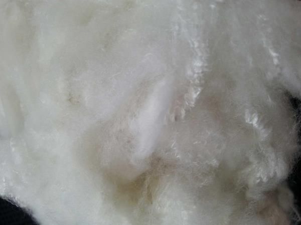 polyester fibre for filling